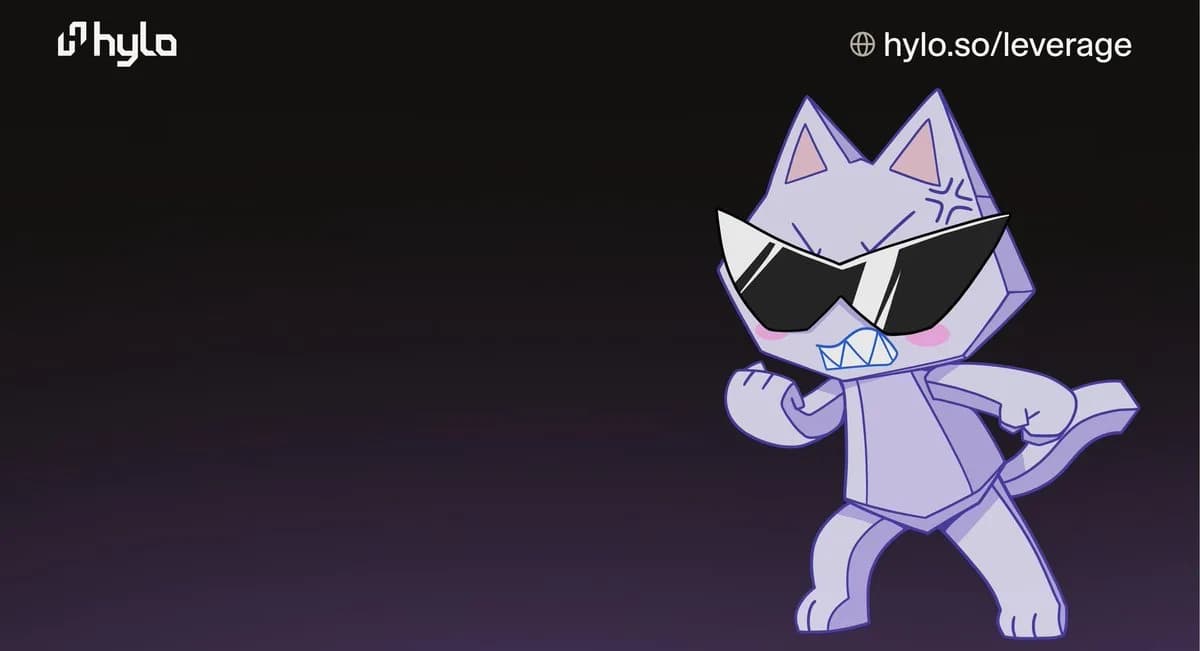 Hylo's own leverage banner, featuring the cat